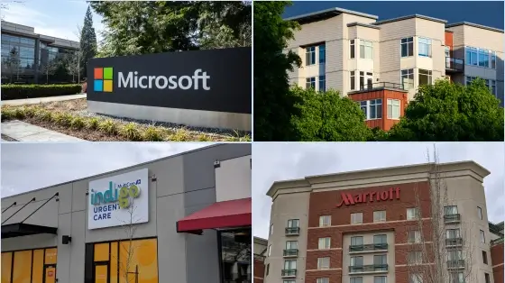 We know bookkeeping. And we know Redmond.