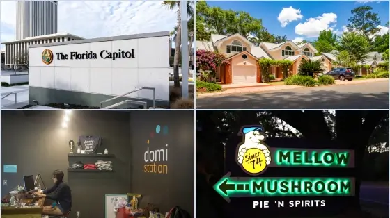 We know bookkeeping. And we know Tallahassee.