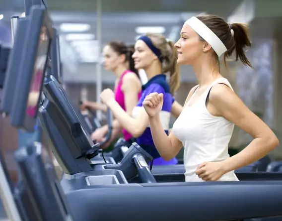 CoCountant: Streamline staffing solutions and payroll for gym efficiency