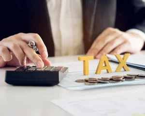 How Do Tax Filing Services Work for Small Businesses