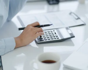 CoCountant Pricing What You Get and Is It Worth It