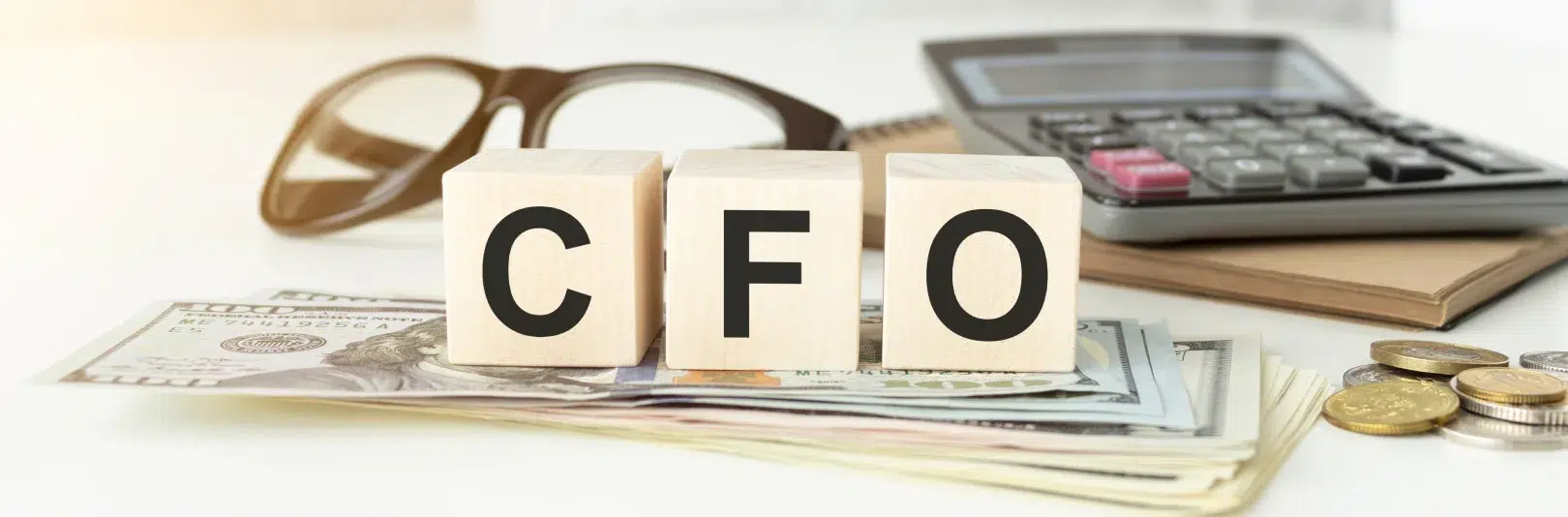 How the Cocountant Controller Model Delivers CFO-Level Clarity